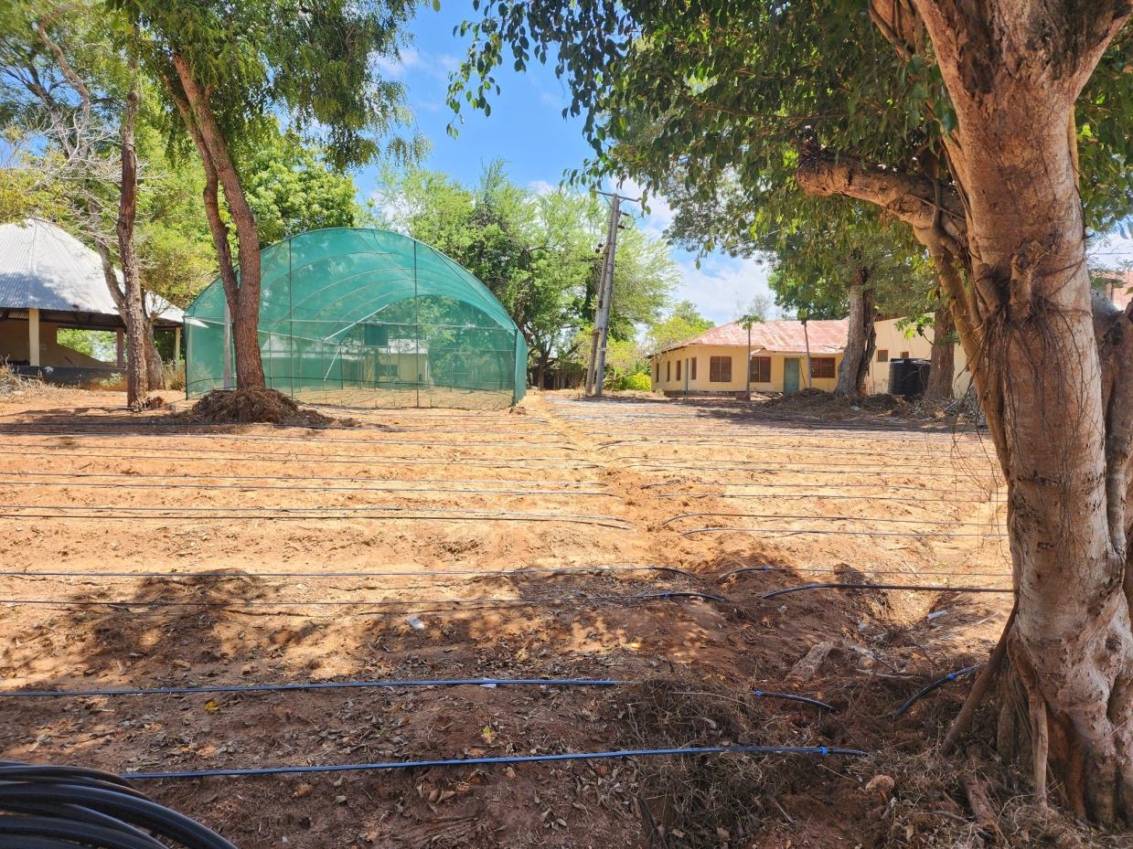 Climate-smart shade house and drip irrigation for vegetable farming.