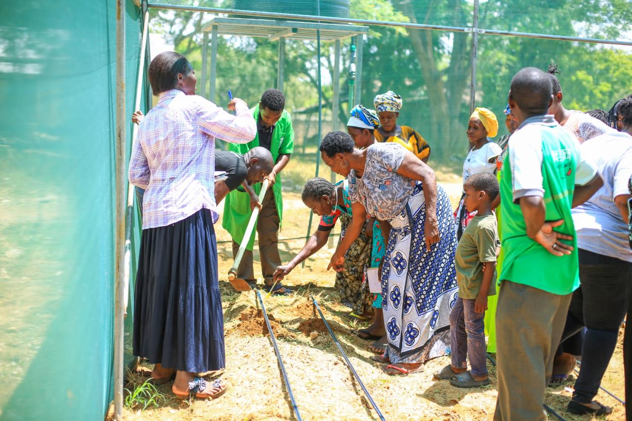 Kinamine Women SHG, elders and children laying drip lines together, Kinango